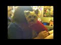 Pets