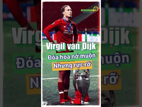 Virgil van Dijk - Đóa hoa nở muộn nhưng rực rỡ | Bongda24h Official