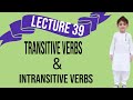 Verb Transitive And Intransitive Verbs Similarity Differences English Grammar