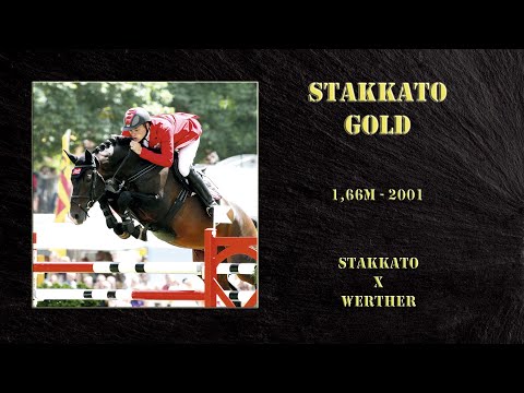 STAKKATO GOLD