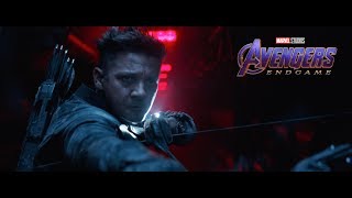 Avengers: Endgame (2019) Video