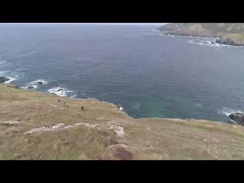 WONDERFUL CORNWALL BEACH VIEW