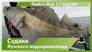 Рыбалка с егерем на яузском водохранилище