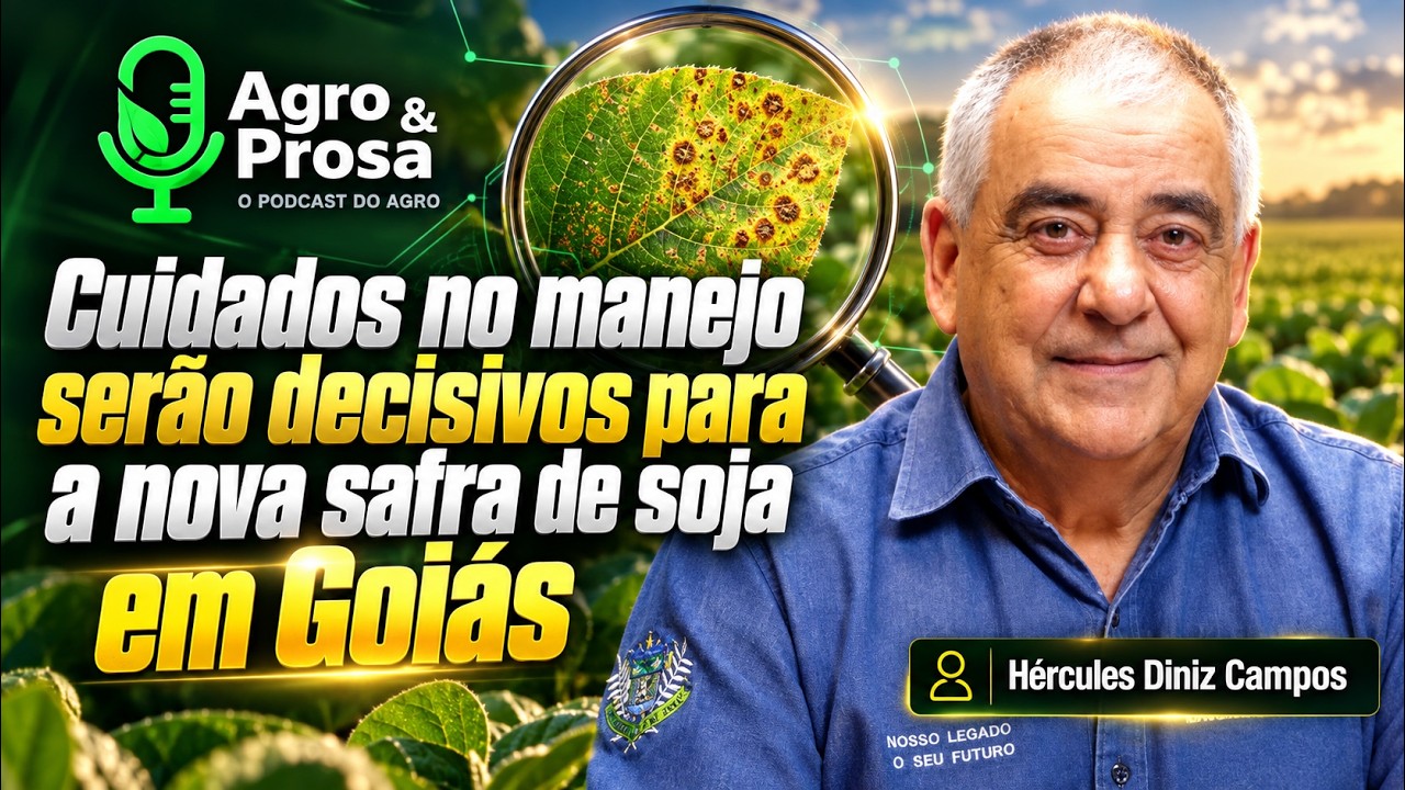 Plantio mais cedo muda estratégia de manejo da soja