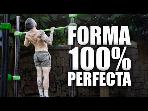 This is what the PERFECT PULL-UP would look like