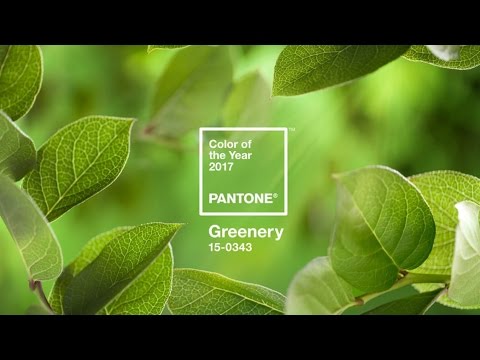 PANTONE Greenery | 2017