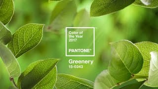 PANTONE Greenery | 2017