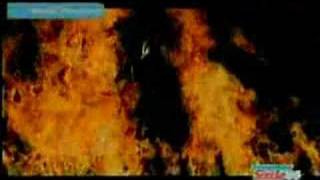 Hilary Duff ~ Dignity (special video )