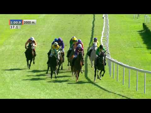 16.08.2020 (D24; G2; Tor: 2,5; 28°C)