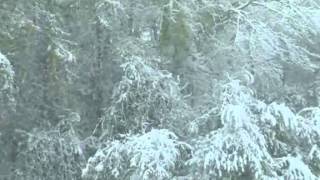 Dido   Happy New Year