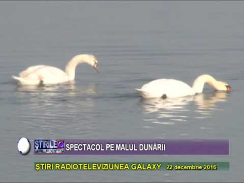 SPECTACOL PE MALUL DUNARII LA HINOVA