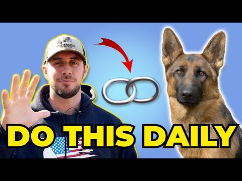 5 Ways to Build a Better Bond with Your Dog