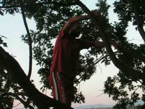 KABAT  Všude tady sou