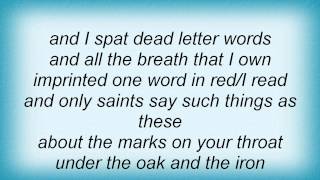 Birthday Party - Several Sins Lyrics_1