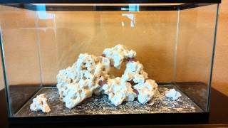 How to setup a Nano 10 gallon reef tank day 0
