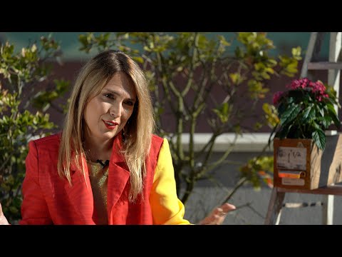 7naSET - Ana Bacalhau - Entrevista