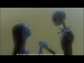 Nightmare Before Christmas My Dearest Friend If You Don T Mind I D Like To Join You By Your Side