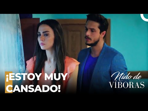 ¡Ejder Hizo Las Paces Con Nagme!   - Nido De Víboras