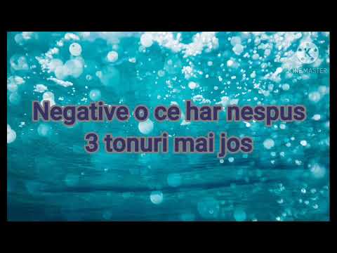 Negativ o ce har nespus 3 tonuri jos