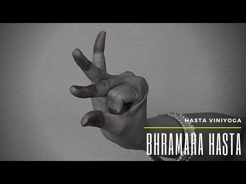 Bhramara hasta