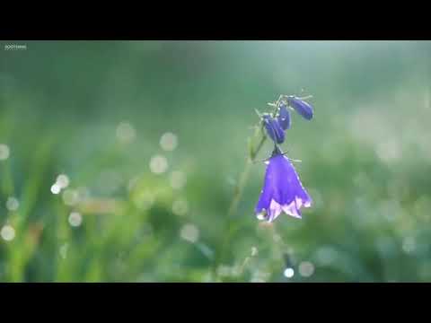 Incredible Turkey in 4K (Ultra HD) Around the World Travel Film - Episode 1 | new nature hd video