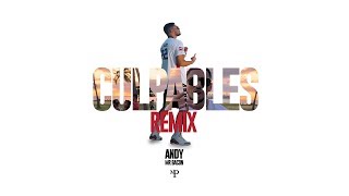 ANDY x ANUEL AA - CULPABLES (Mr Bacon Remix)