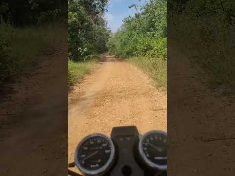 veredas y zonasmineras de nechi antioquia #shorts #minería #bajocaucaantioqueño