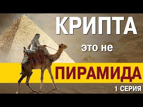 🐫 Криптовалюта это не финансовая пирамида!