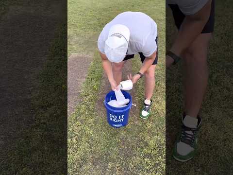 Grow Grass Seed with Toilet Paper