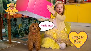 Evie's Top 20 Waffle Moments | Waffle the Wonder Dog Official Clips 🧡 gameplay video by FountaindalePost16, 26:04 duration