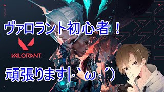 【VALORANT】コンペ行きたいけど怖いです((