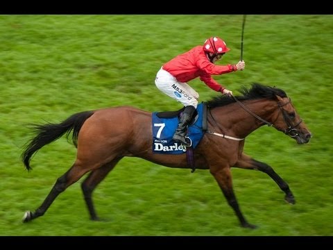 2012 Darley July Cup G1 - Mayson ( 美城) - P.Hanagan