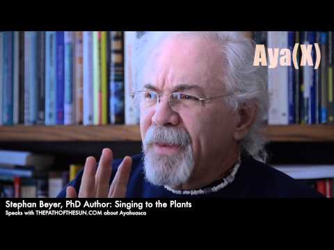 The purpose of ayahuasca may not be what you think.