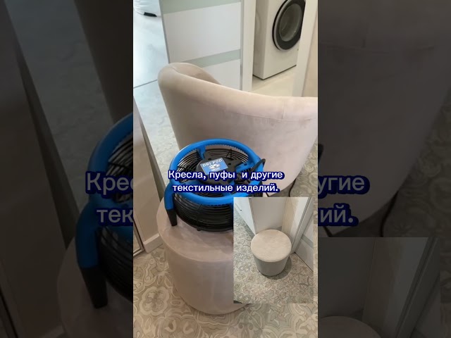 Все вокруг нуждается в чистке 