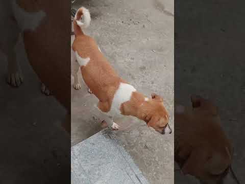 #short#funny video #