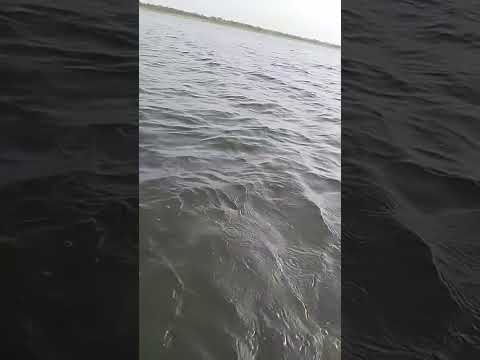 Reel tagged #fish