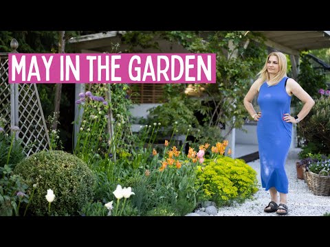 Essential May Gardening Tips: Tulips, Pansies, and Summer Pots | Garden with Marta