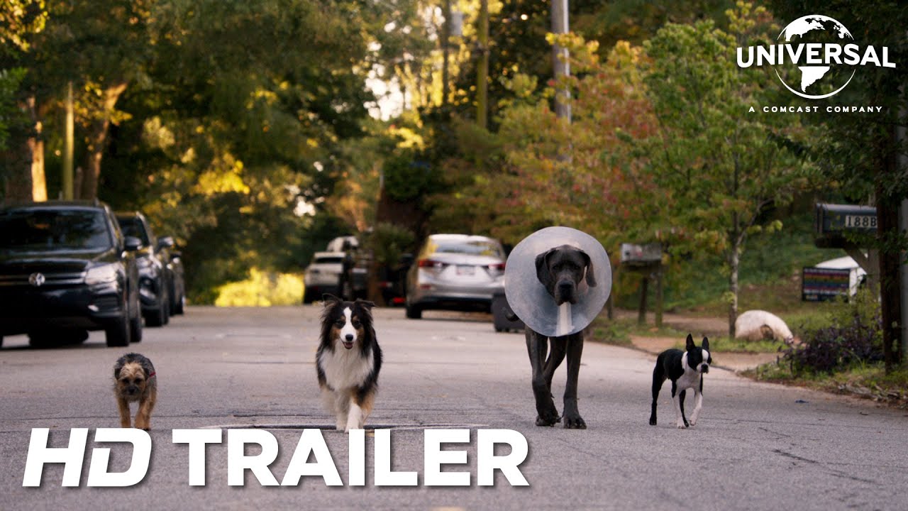 trailer Oficial
