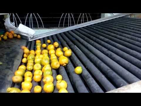 download lagu mp3 mp4 Orange Processing Plant Amravati, download lagu Orange Processing Plant Amravati gratis, unduh video klip Orange Processing Plant Amravati