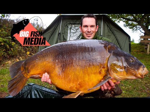 Karpfenangeln - Boilies und Partikel im Test