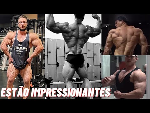 Estão prontos | Zancanelli, Ramon e Caike rumo ao olympia