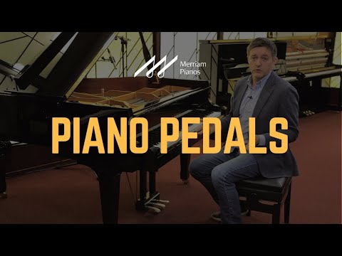 🎹Decoding the 3 Pedals on a Piano: An Easy Guide🎹