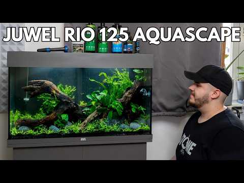 Juwel Rio 125 Aquascape Aquarium einrichten!