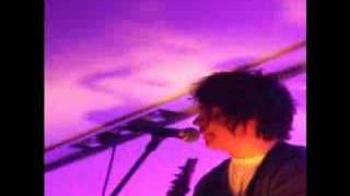 An Oak Tree-Get Cape. Wear Cape. Fly