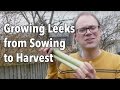 Growing Leeks from Sowing to Harvest