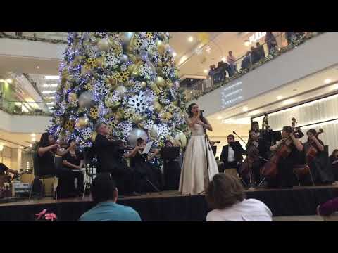 Can't Help Falling in Love With You - Soprano Carmen Goett (Live Opera)