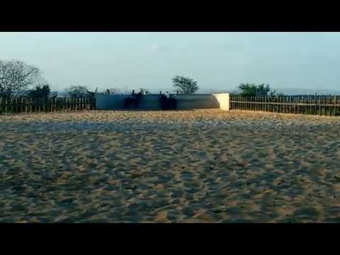 TATU E GAGO, Centro de Treinamento Pedro Nunes, em Graccho Cardoso Sergipe.