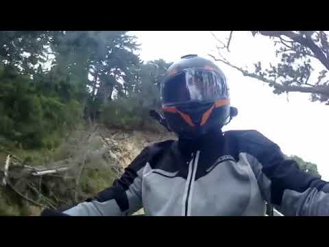 Coromandel Road Trip