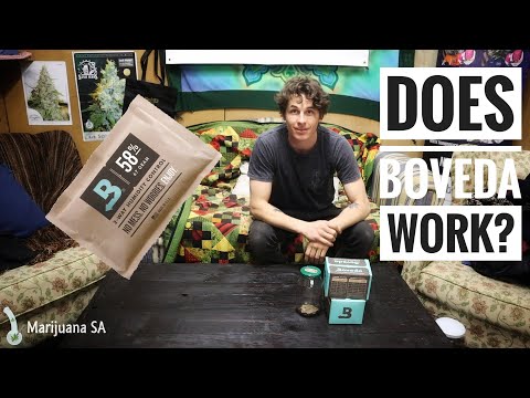 3rd YouTube video about how long do boveda packs last