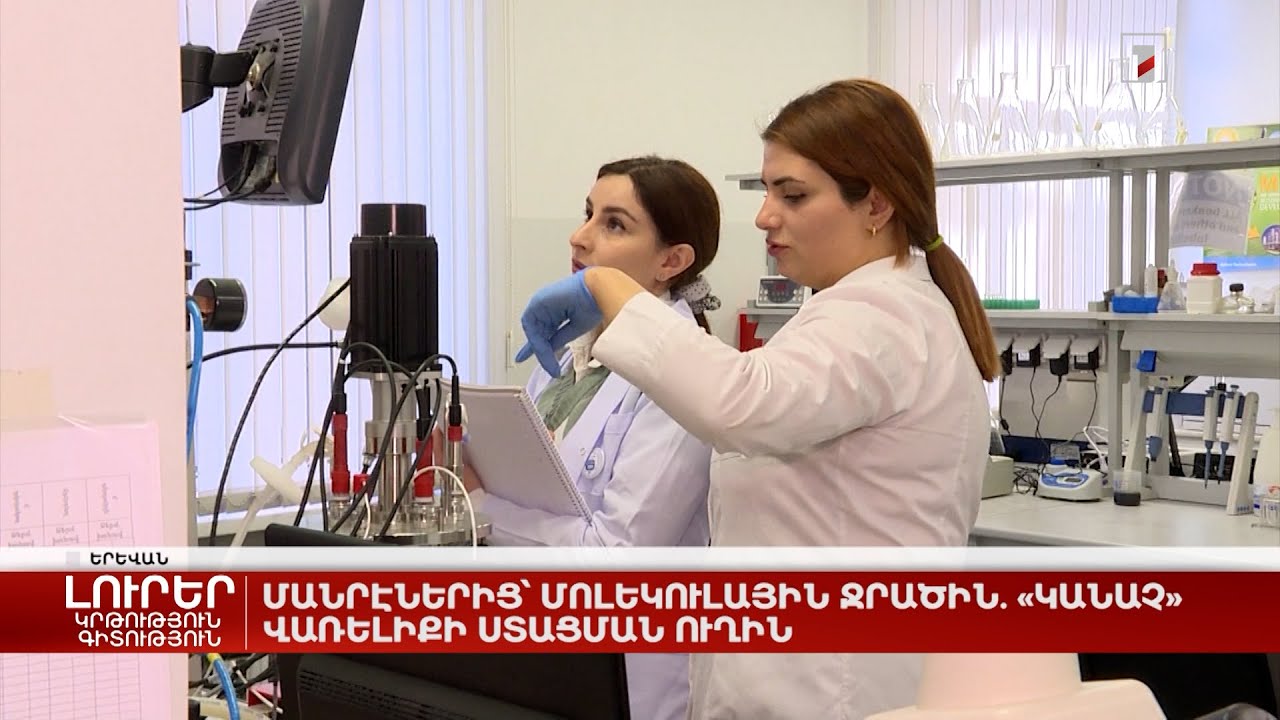 Մանրէներից՝ մոլեկուլային ջրածին. «կանաչ» վառելիքի ստացման ուղին